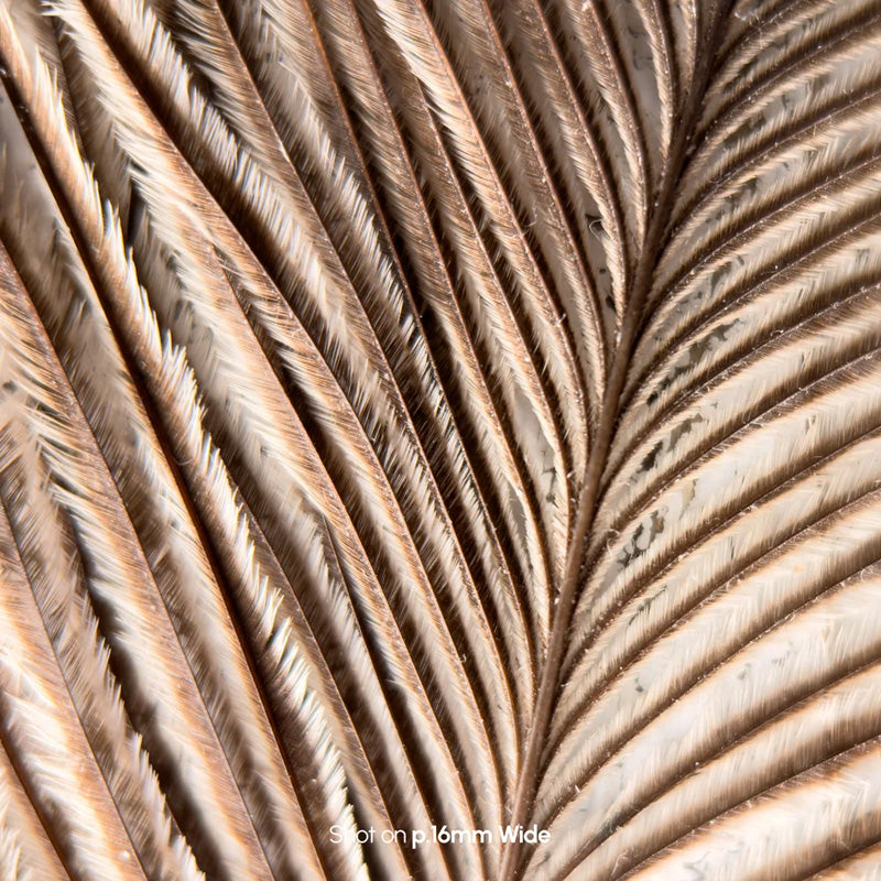 P.Series 10× Micro Lens