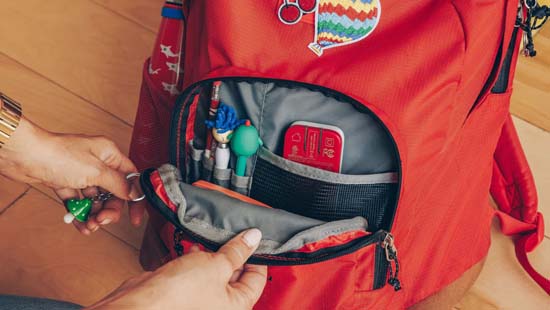 PlugBug 50W (Travel)