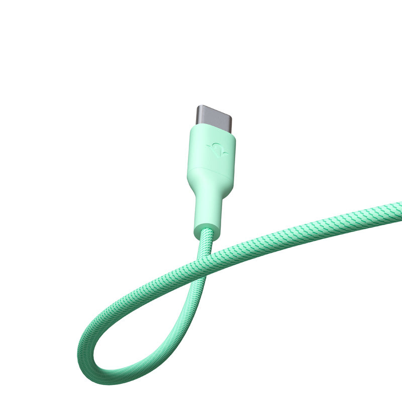 CableStay USB-C Cable (1.5 m) with Weighted Base Mint