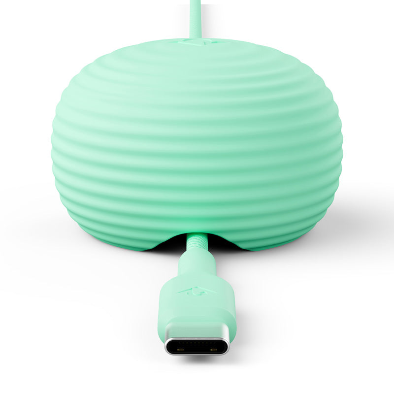 CableStay USB-C Cable (1.5 m) with Weighted Base Mint