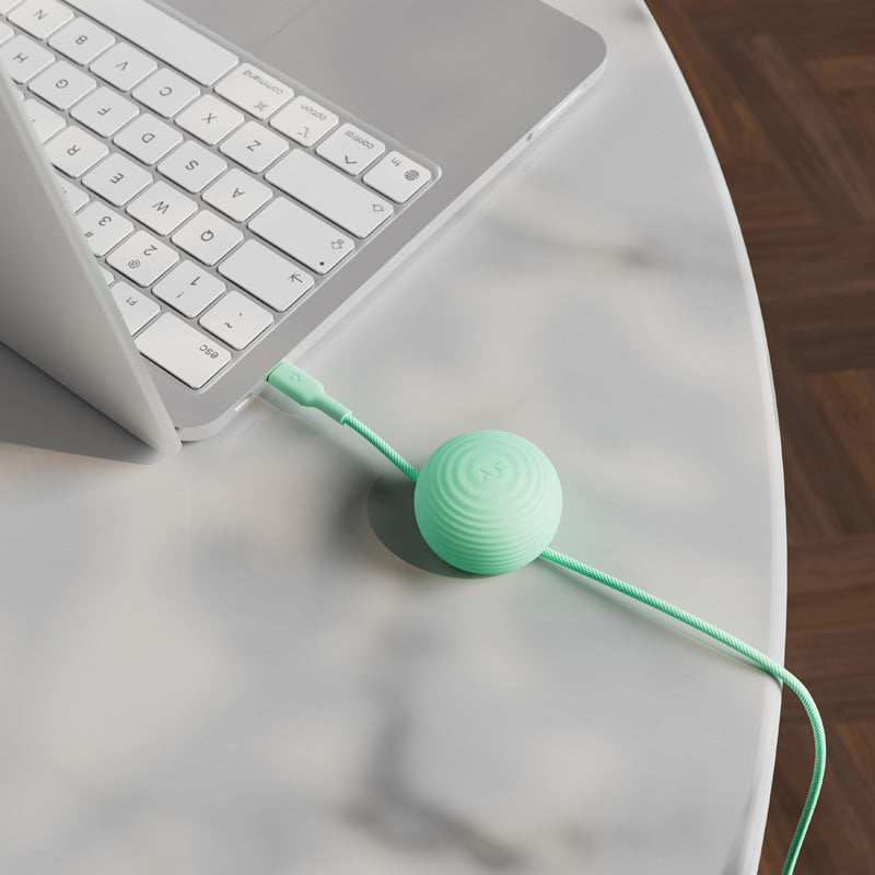 CableStay USB-C Cable (1.5 m) with Weighted Base Mint