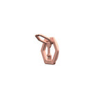Magnetic Ring Stand Nude