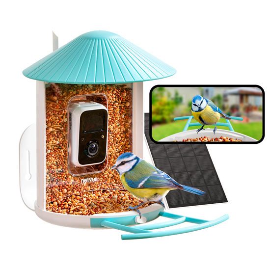 Feeder AI Lifetime Free w/ solar - Birdfy