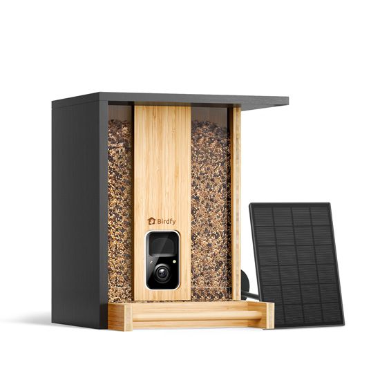 Feeder Bamboo AI Lifetime Free w/ Solar - Birdfy