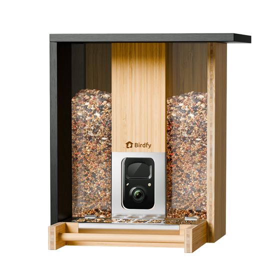 Feeder Bamboo AI and w/ Solar - Birdfy