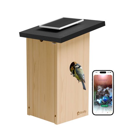 House Ebony - Birdfy