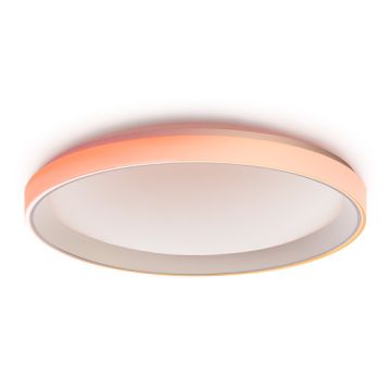 Ceiling Light T1M